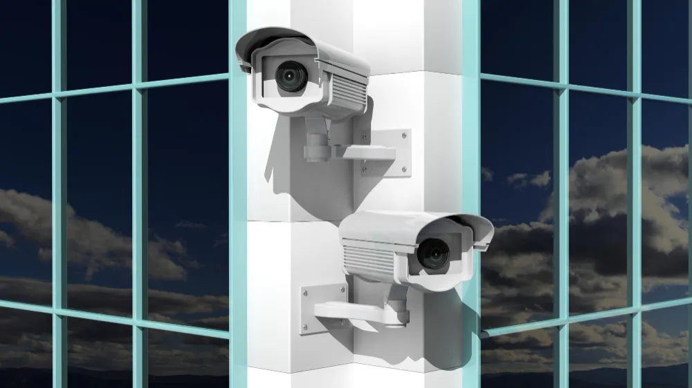 Professional Security Solutions